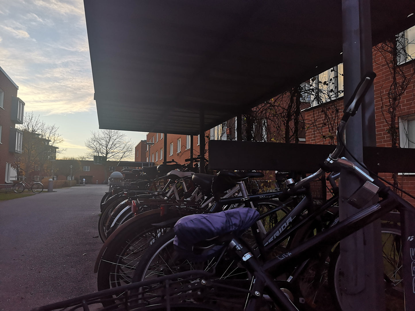 Bikes on rail
